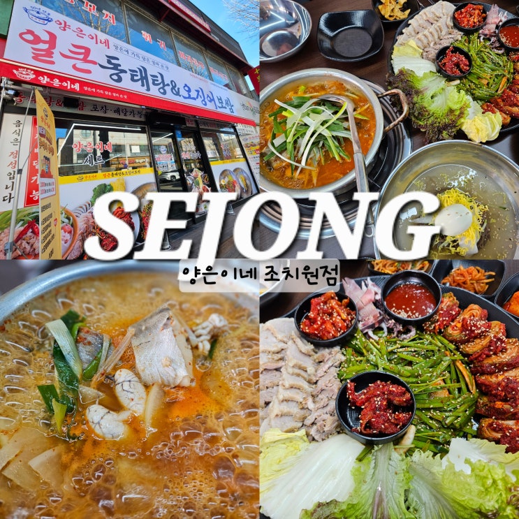  세종 조치원 맛집 양은이네 동태탕 오징어보쌈