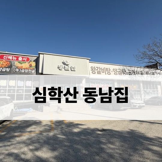  심학산 동남집 아이랑 주말 점심 방문후기