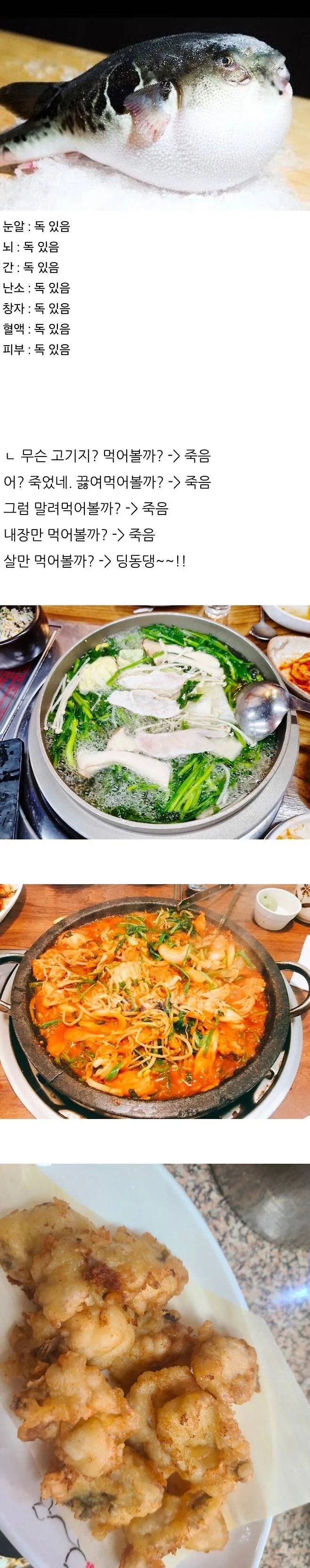  자기를 먹지말라고 온몸으로 말하는 생물