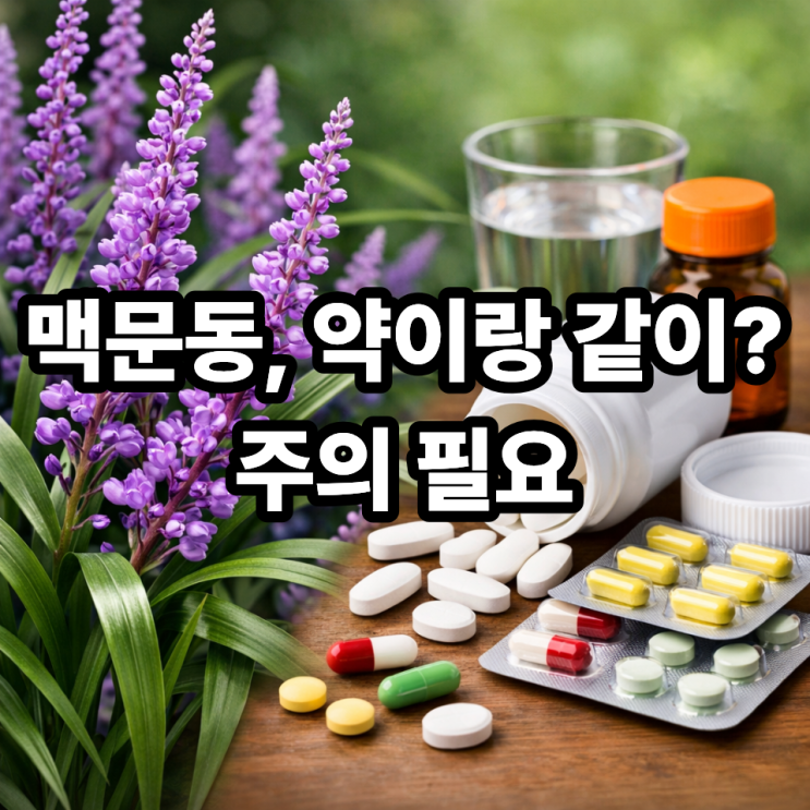   맥문동과 약물 복용, 함께 먹어도 될까?｜의외로 중요한 체크 포인트