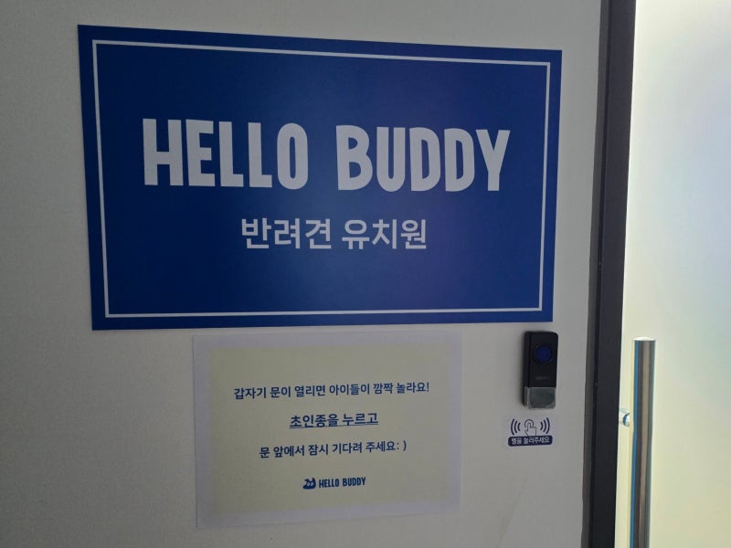 사진 6
