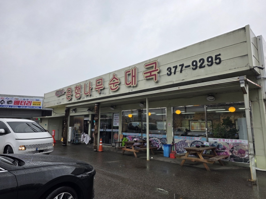 은행나무순대국 사진 6