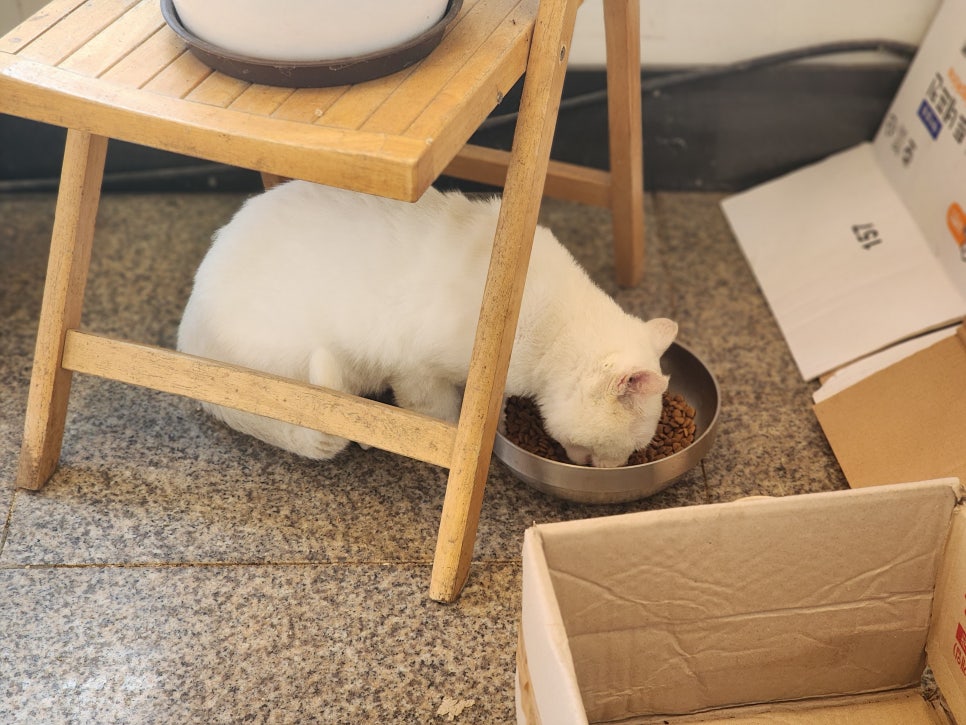 장촌칼국수 사진 4