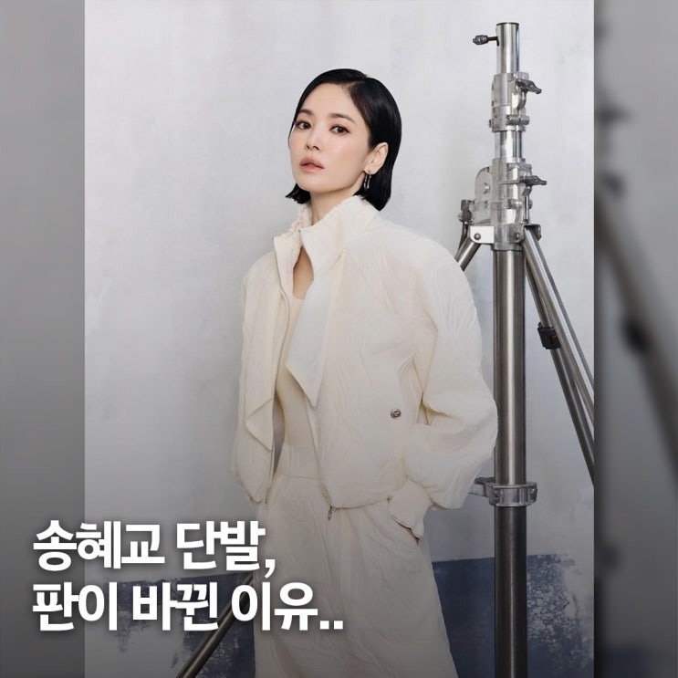  숏컷 하나로 판이 바뀌었다.. 송혜교 단발 변신 아우라 스타일 결정적 포인트