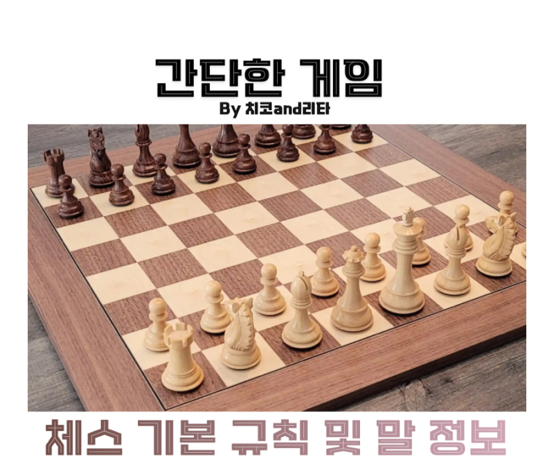 체스 규칙 기본 말 이름 위치 세팅 정리