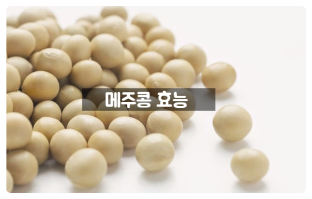 메주콩효능 7가지 대두콩을 매일 섭취하면 왜 좋을까?