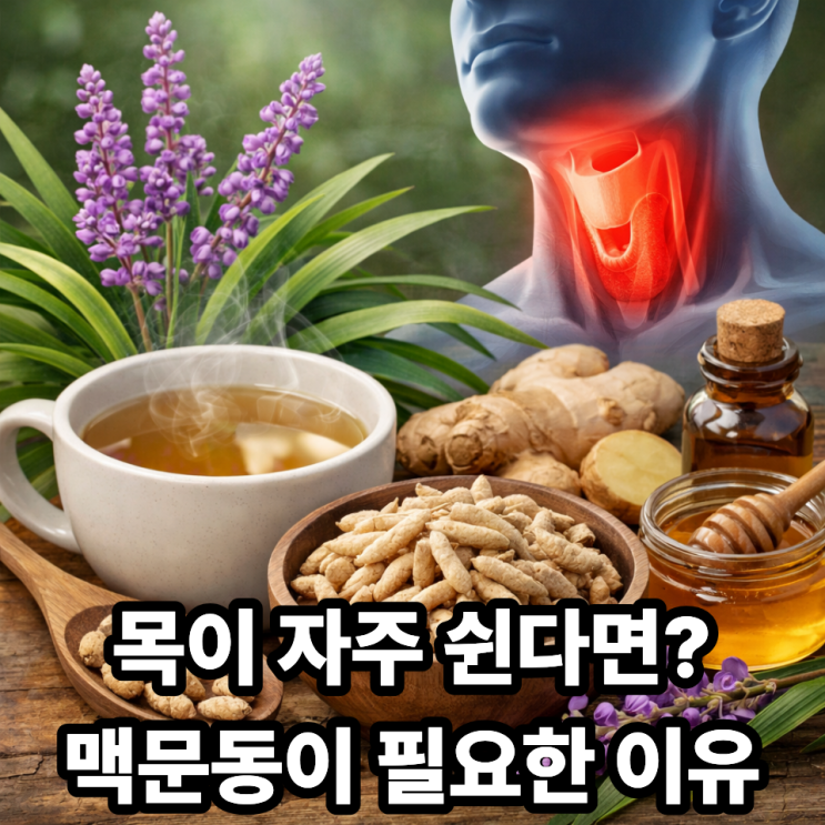  목이 자주 쉬는 사람에게 맥문동이 좋은 이유｜쉰 목 관리 한방 포인트