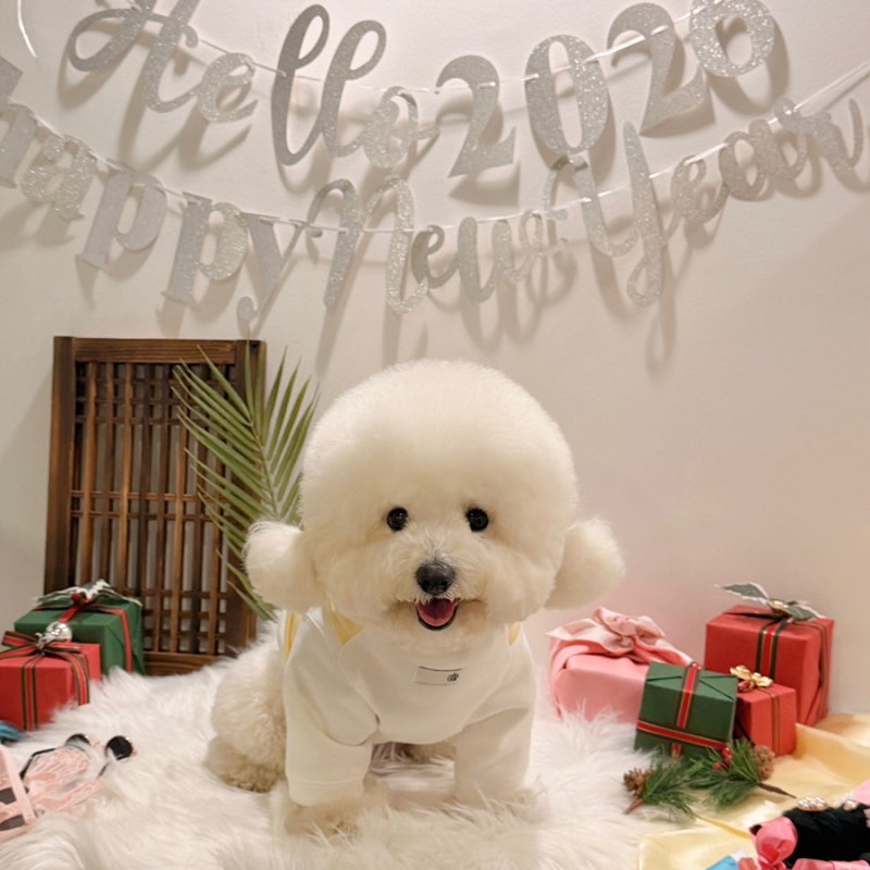 사진 2