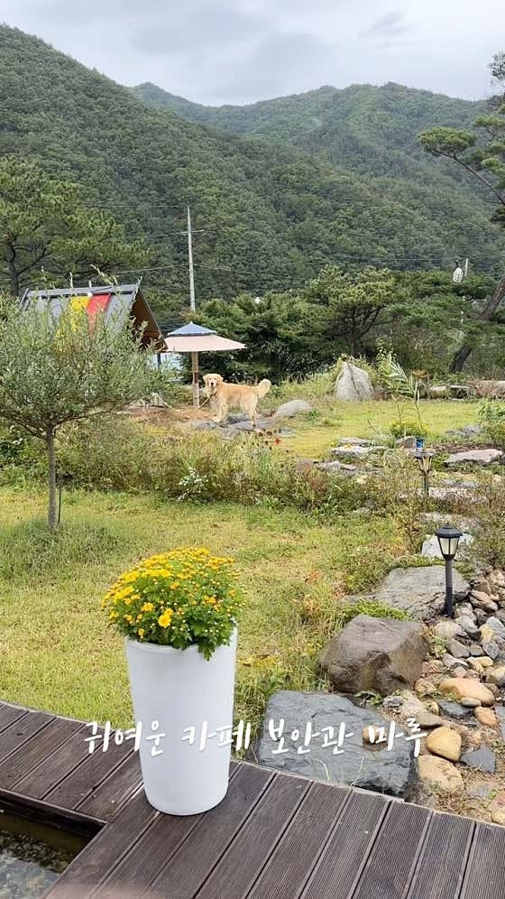 폴몬트 사진 4