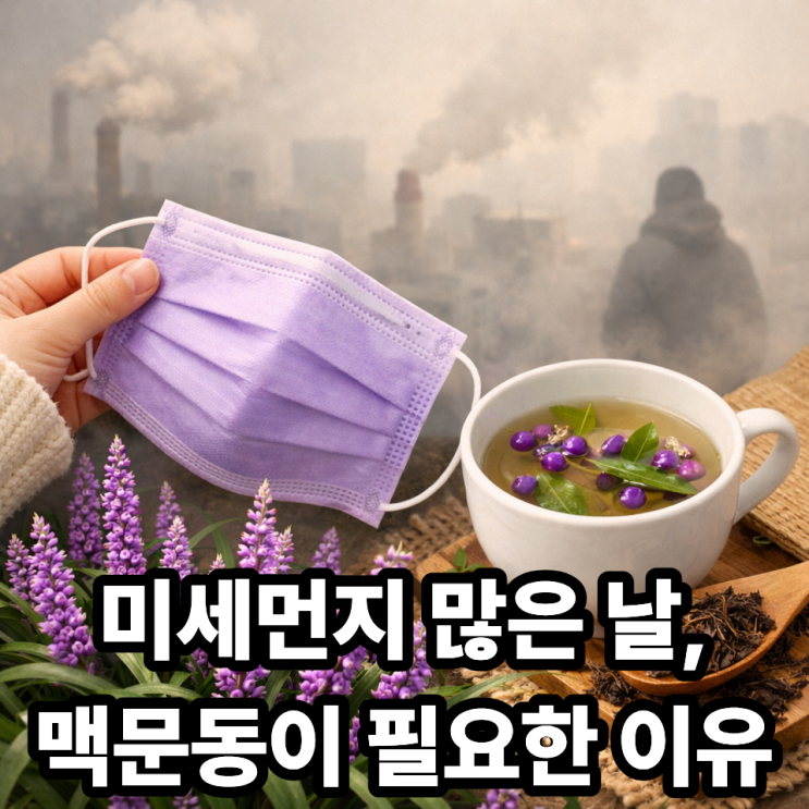  미세먼지 많은 날 맥문동 활용법｜목·폐를 지키는 한방 관리
