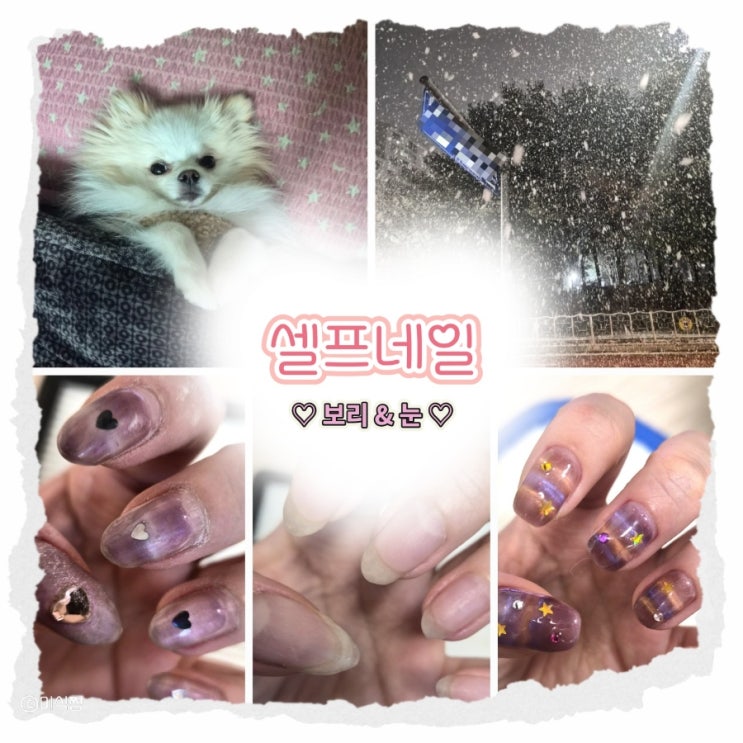  [ self nail ] 집에서 하는 셀프 자석 네일 ｜네일 자격증 × 취미 네일아트 ( 보리와 일상)