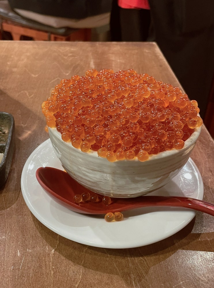  [일본] 삿포로 여행 맛집 추천 ㅣ 해물 하치쿄 - 연어알 덮밥 이쿠라동 츳코메시 혼밥가능