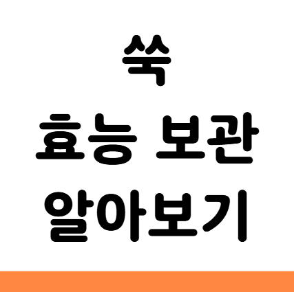 쑥 효능 당뇨 피부 변비 보관 부작용