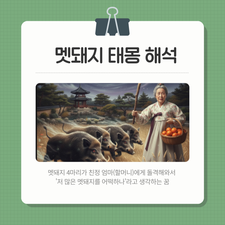  멧돼지 태몽 의미, 성별, 성향, 풀이 해석