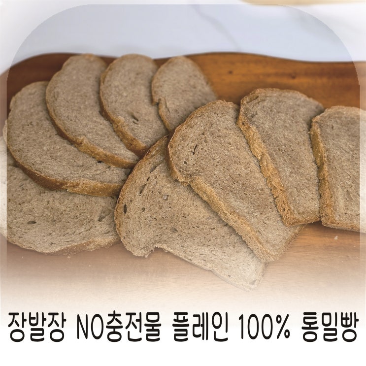  더브레드 건강 통밀식빵, 장발장 노충전물 플레인 100% 통밀빵 추천