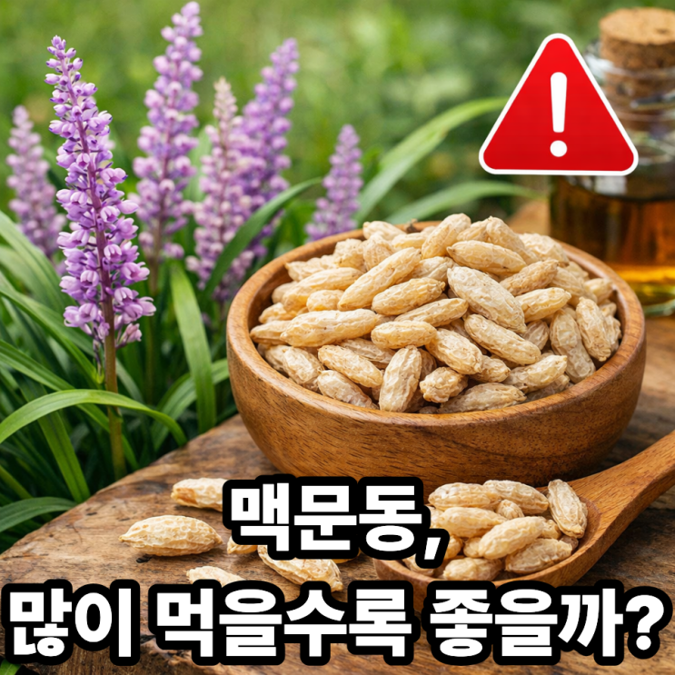   맥문동 하루 섭취량, 많이 먹으면 안 되는 이유｜건강하게 먹는 기준 정리