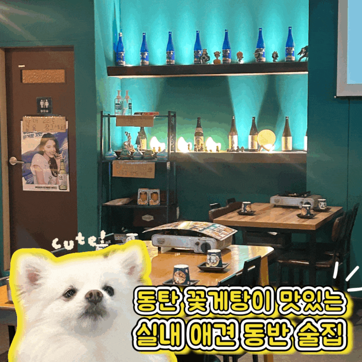  동탄 꽃게탕이 맛있는 애견 동반 술집 달주방 대형견도 가능