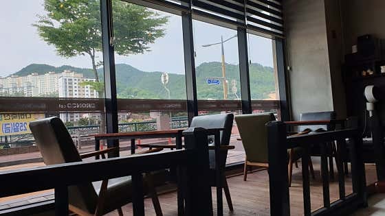 브랑코 사진 5