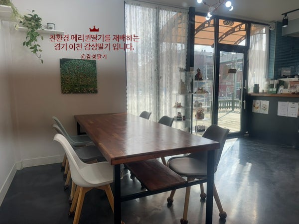 열매달이레 사진 6