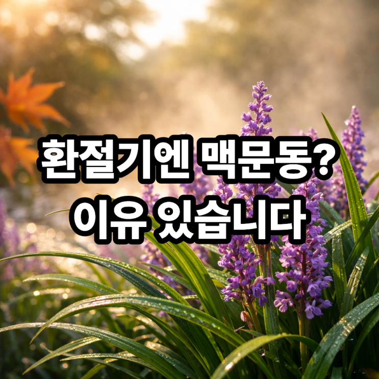   환절기에 맥문동이 주목받는 이유｜이 시기에 찾는 데엔 이유가 있습니다