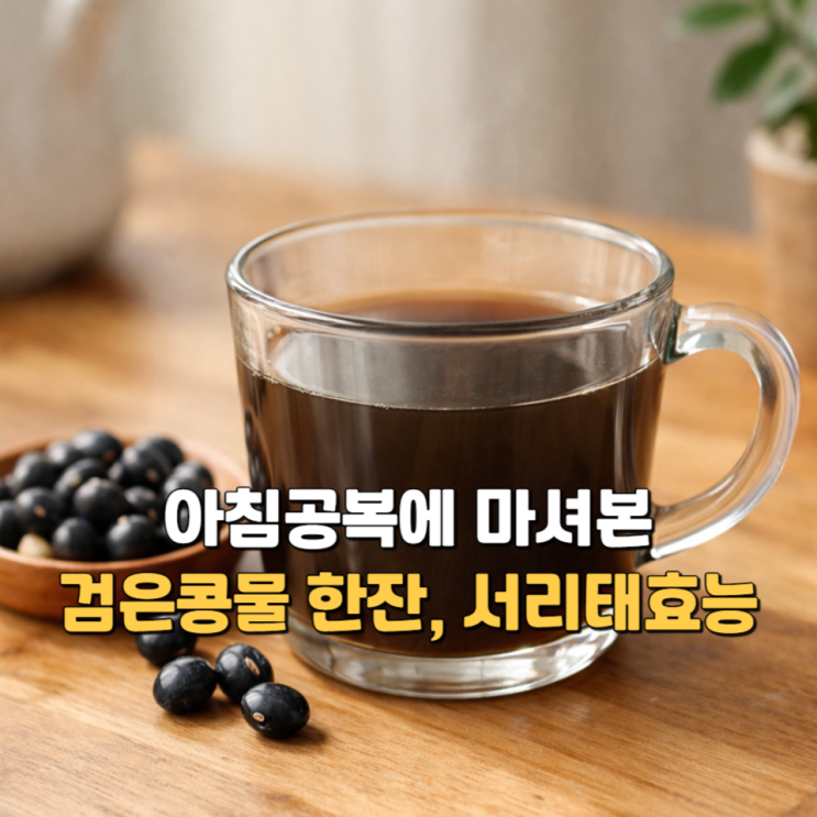  아침공복에 마셔본 검은콩물 한잔, 서리태효능 3가지