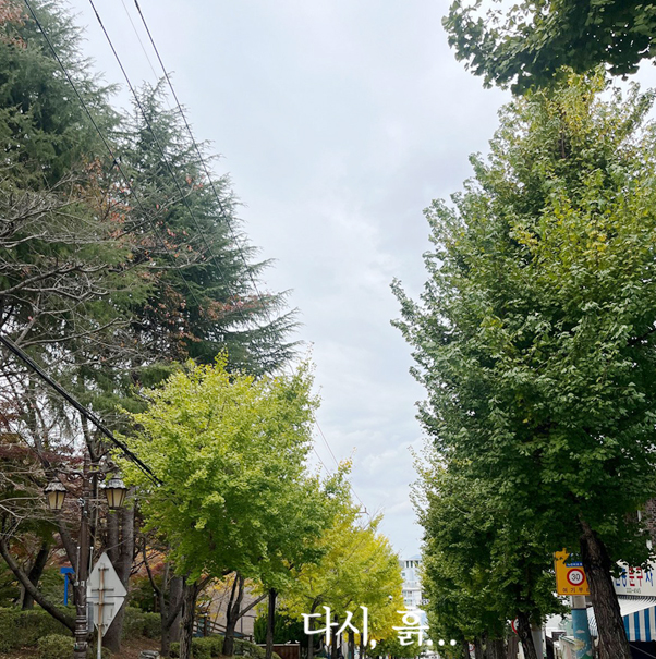 규문당과자점 사진 5