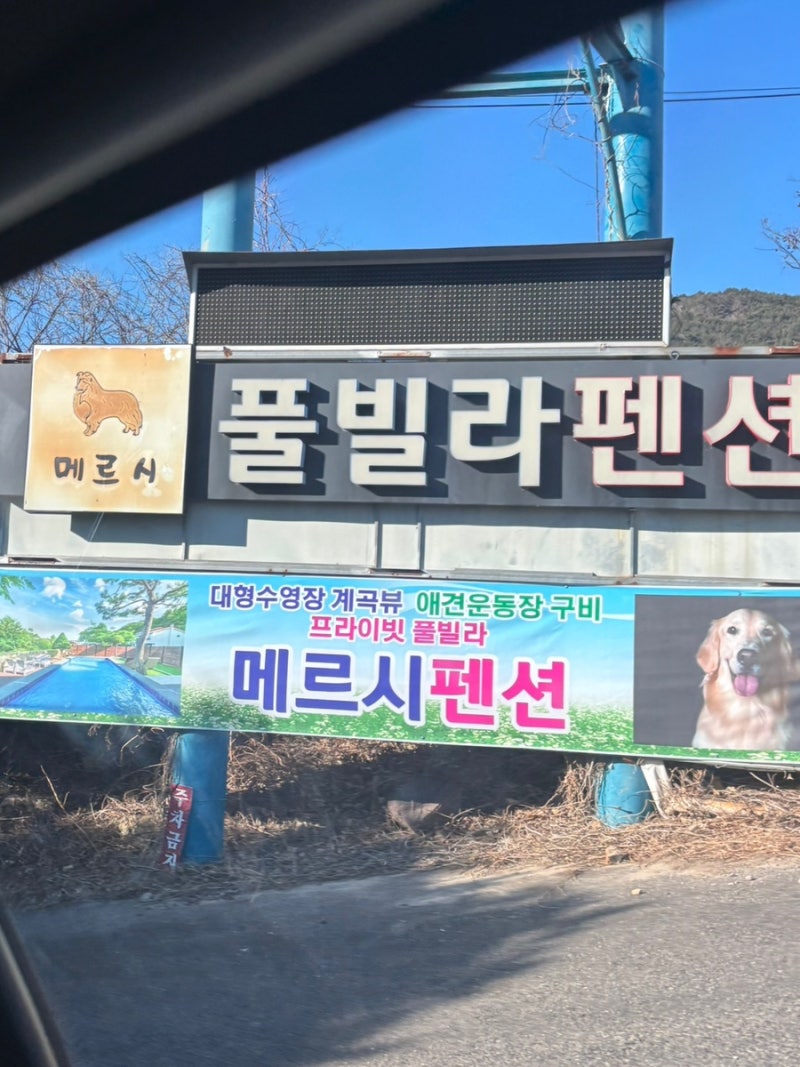 메르시애견펜션
