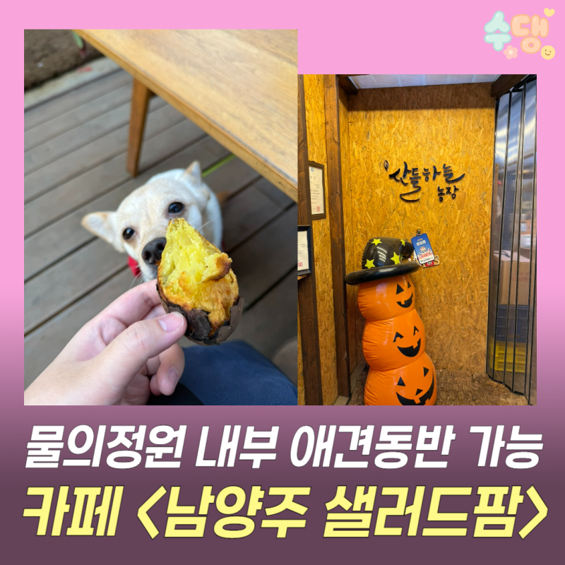 사진 2