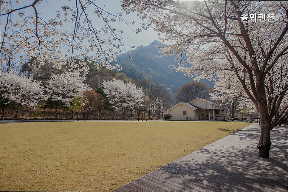 솔뫼펜션 사진 5