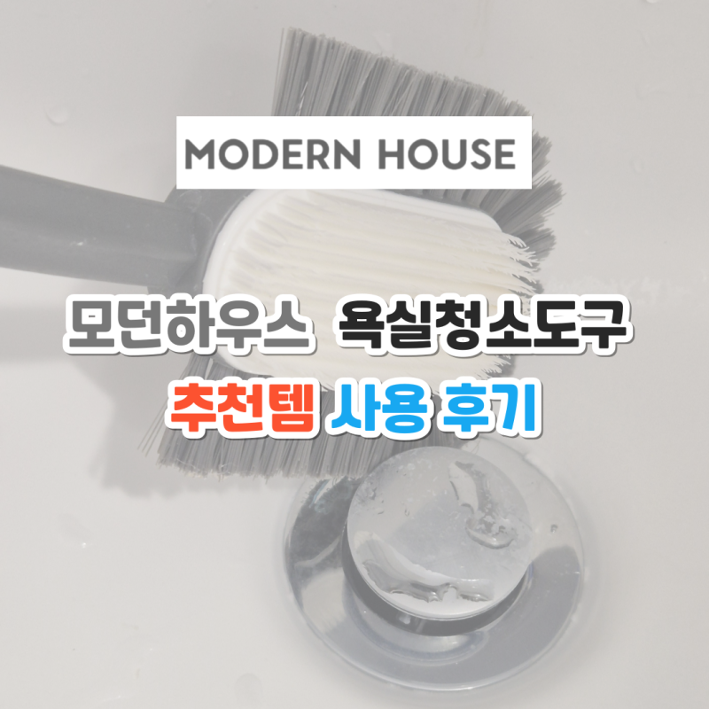 모던하우스 욕실청소도구 추천템 청소솔 세트 깔끔하게