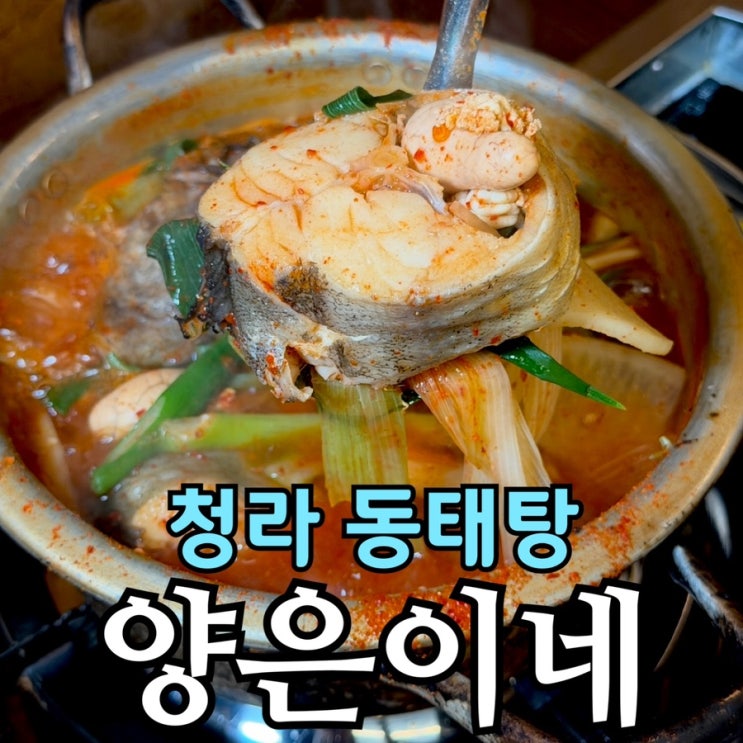  청라한식맛집 양은이네 인천청라점｜동태탕·오징어보쌈·냉면 세트 솔직 후기