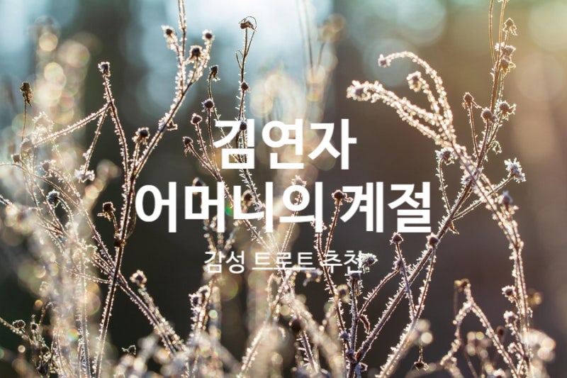 김연자 노래 가사, 노래 듣기, 쉬운 기타 코드 + 코드표