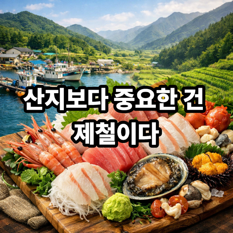   제철 회와 산지 차이 알아보기｜회 맛을 결정하는 진짜 기준