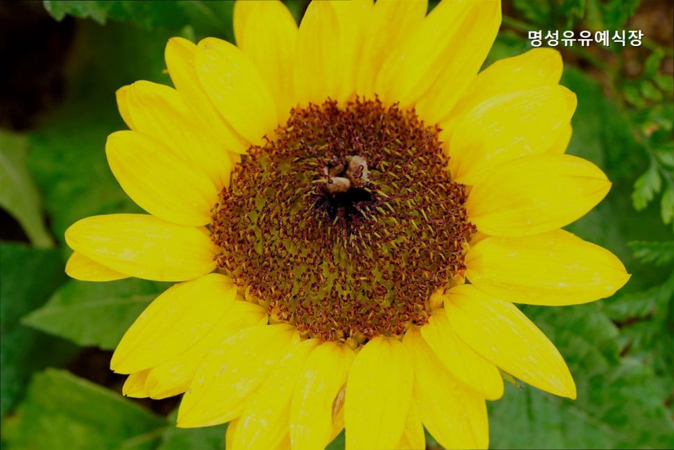 명성유유예식장 사진 2