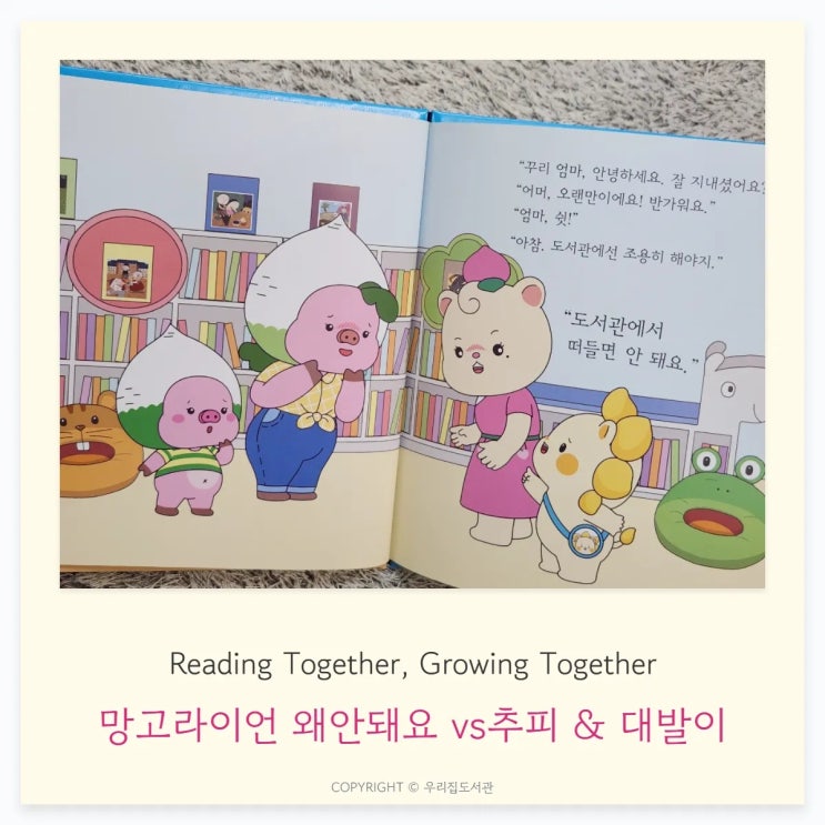  대발이·추피·망고라이언 왜안돼요 어떻게 다를까?