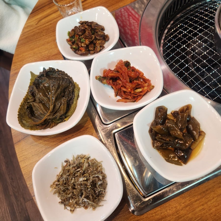 뚱땡이꼼장어 사진 5
