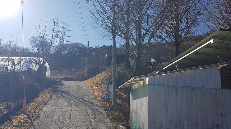 남근전시관 사진 4