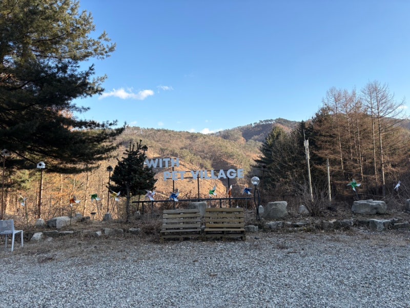 사진 14