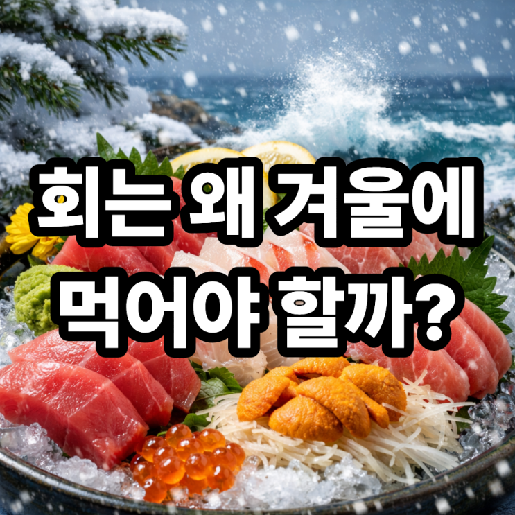  겨울 제철 회가 진짜 맛있는 이유｜지방·식감·영양이 다른 계절의 비밀