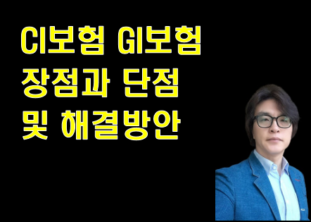 CI보험과 GI보험의 장점과 단점 및 해결방안