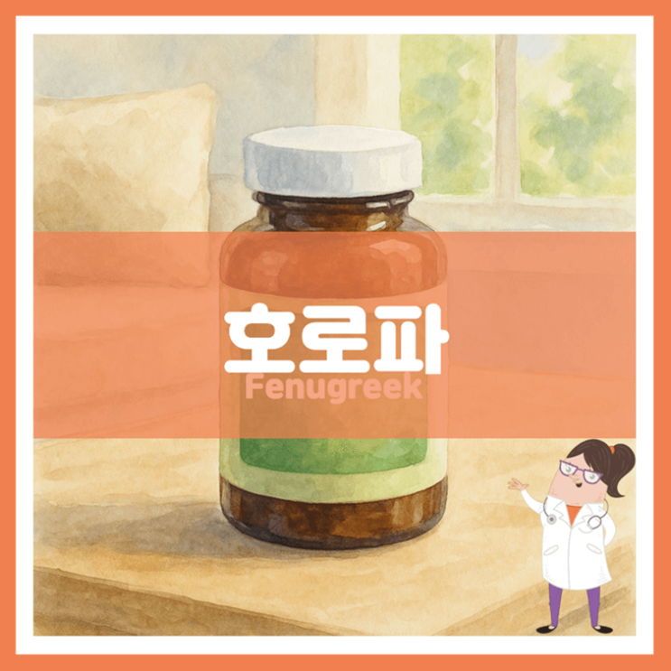 호로파 효능 섭취방법 부작용