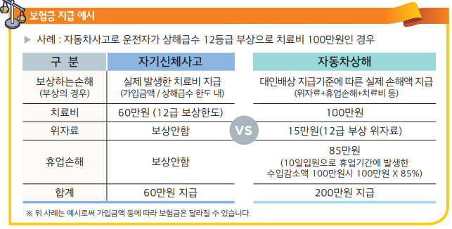[자동차보험] 자손 vs 자상, 사고 나면 보상금이 2배 차이? 나에게 맞는 담보 선택은?