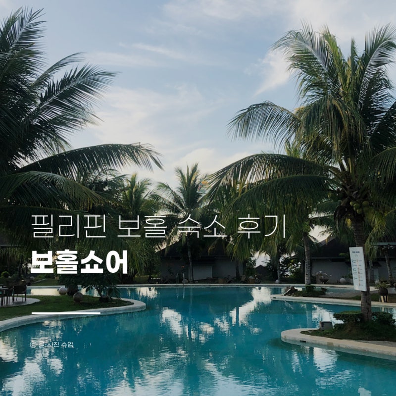 사진 6