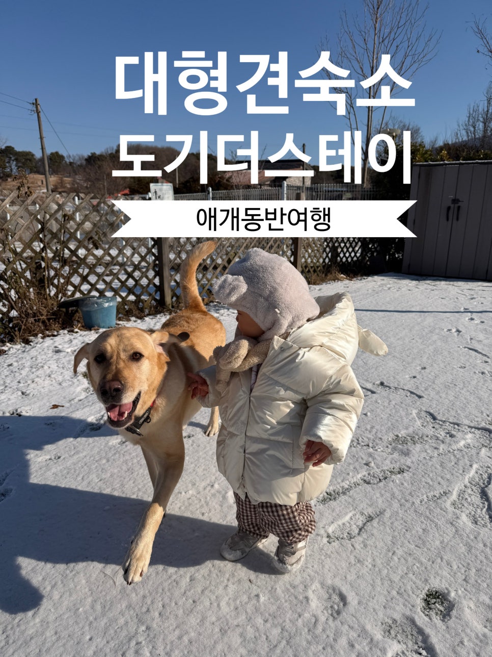 도기더스테이 사진 1