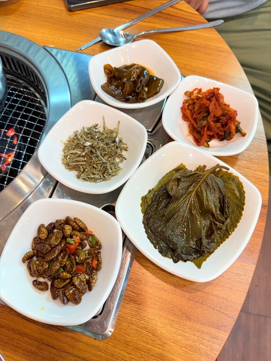 뚱땡이꼼장어 사진 6