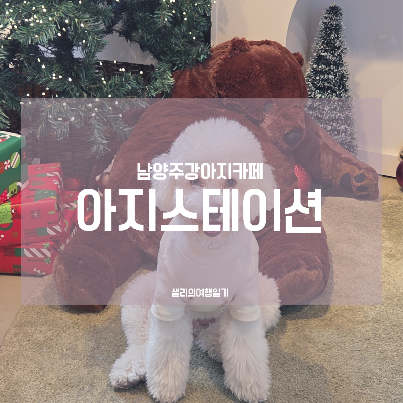 사진 2