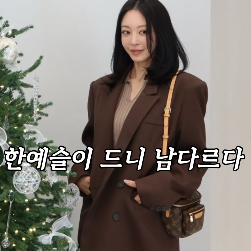 "클래식 느낌 나서 좋다는.." 한예슬 루이비통 신상 미니 범백 가방 가격은?