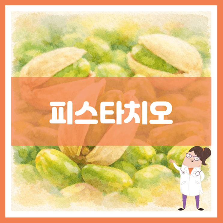  피스타치오 효능 영양성분 부작용
