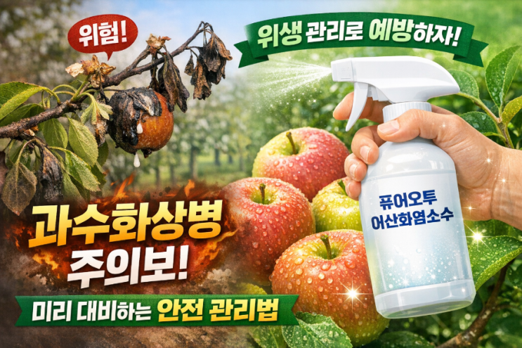   과수화상병, 왜 이렇게 무서운 병일까? 과수화상병은 한 번 발생하면 과원 전체를 폐원해야 할 정도로 피해가 큰 세균성 병해입니다.