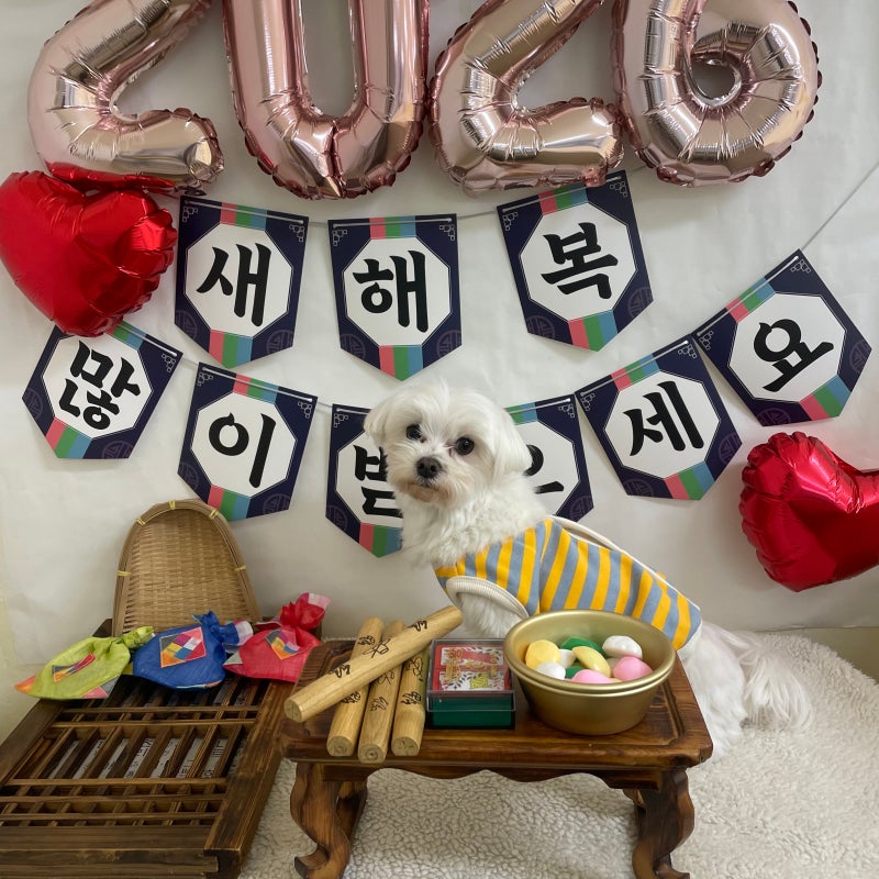 사진 6